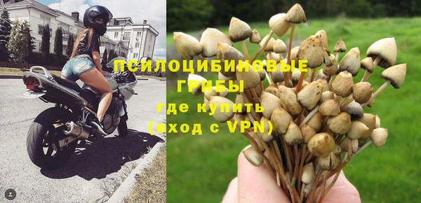 MDMA Premium VHQ Белокуриха