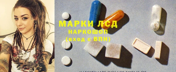стаф Баксан